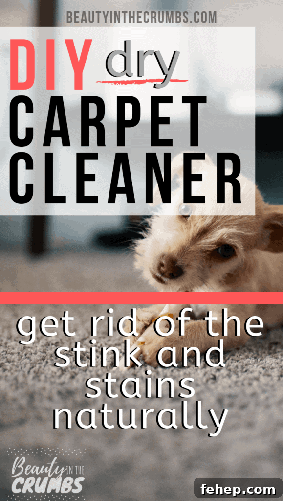 simple, natural, and non toxic DIY homemade Dry Carpet Cleaner to lift stains, deodorize, and kill built up bacteria.