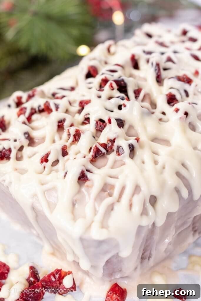 iced bread with white chocolate and dried cranberries