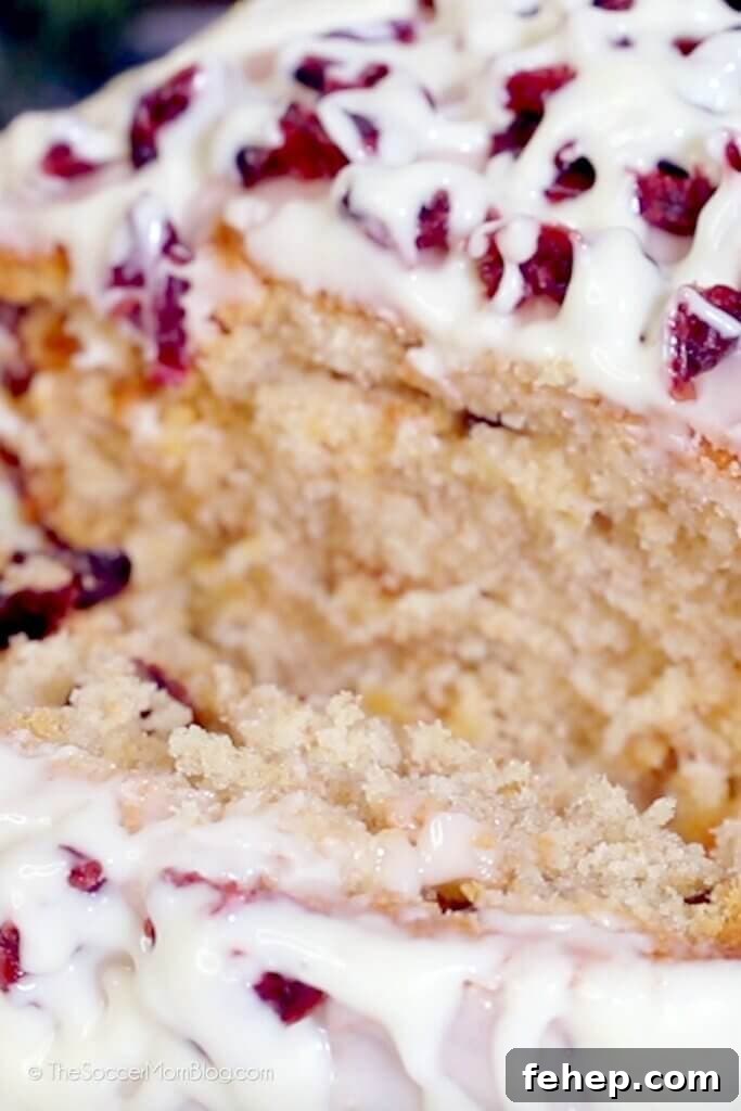 close up of bread with white chocolate and cranberries baked inside