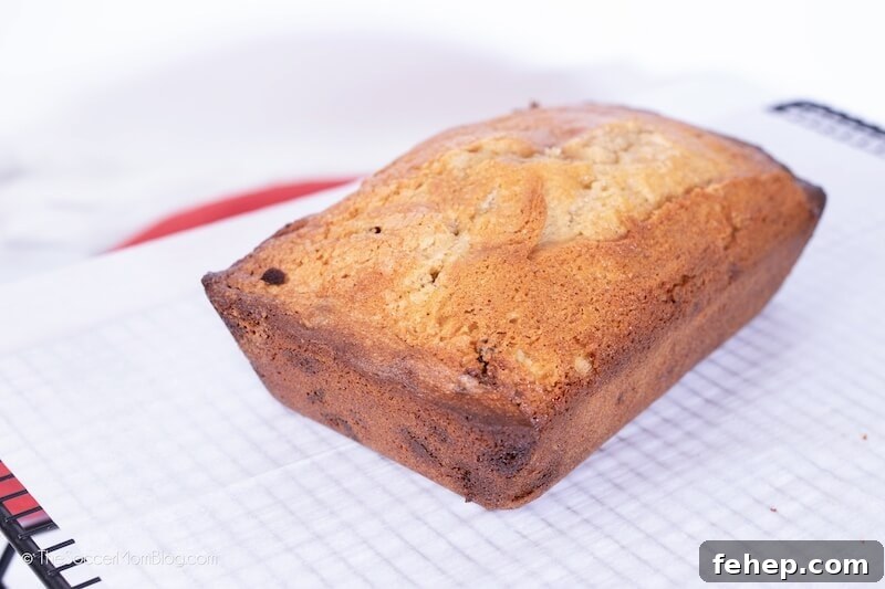 fresh baked bread with white chocolate and cranberries inside