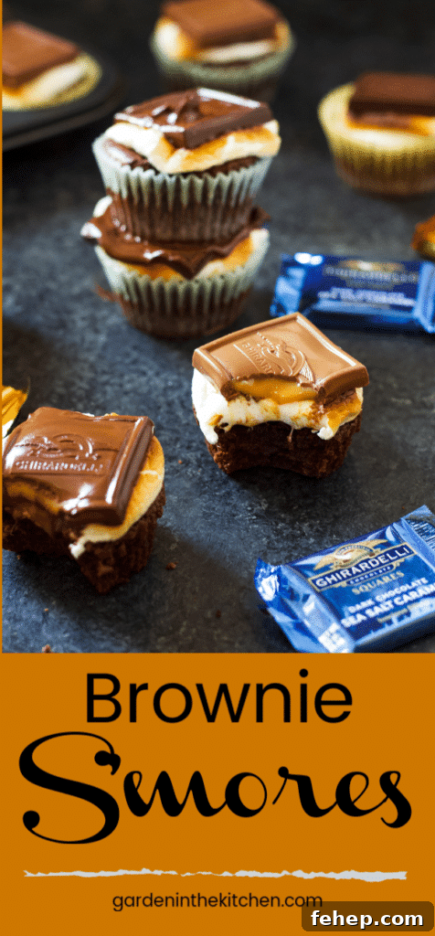 brownie s'mores