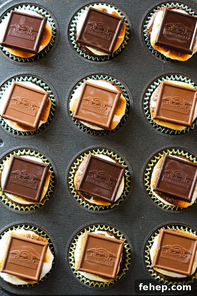S'mores Brownies in a muffin pan