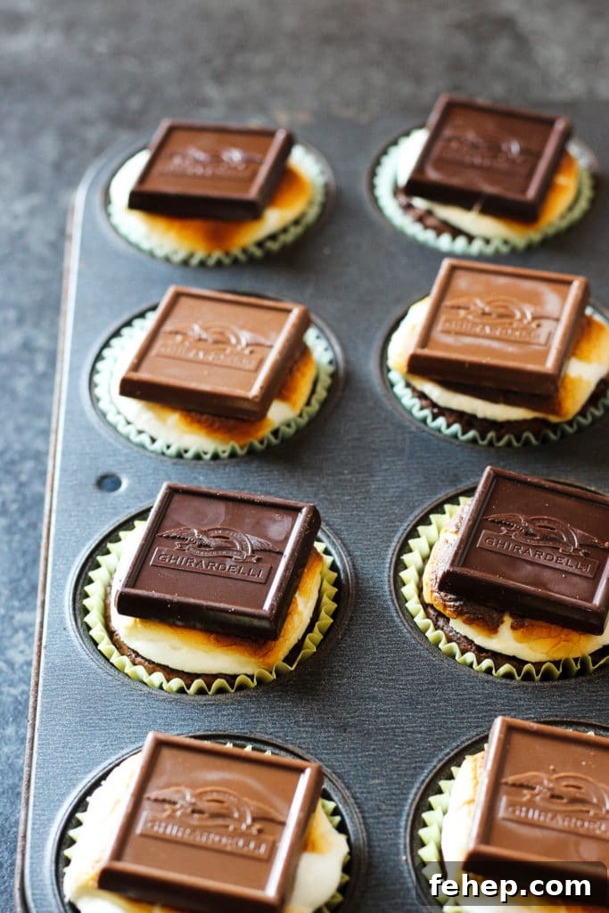 Brownie S'mores in a cupcake pan baking tray