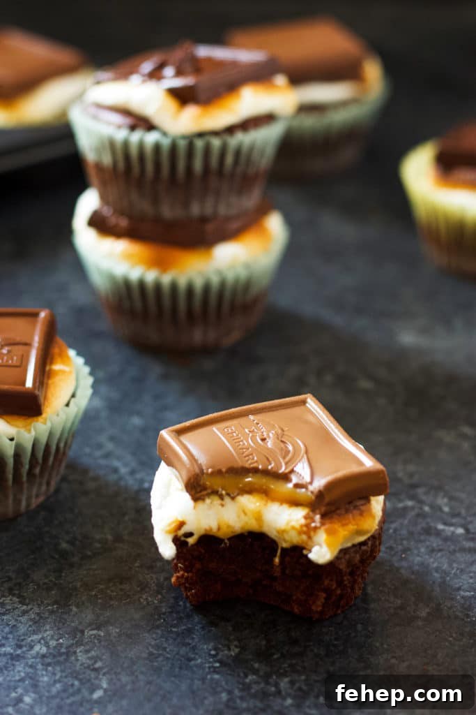 A bite taken from a brownie s'mores cupcake surrounded by other brownie s'mores cupcakes