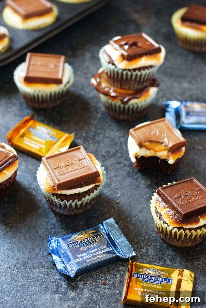 Brownie S'mores surrounded by chocolate squares that are individually wrapped
