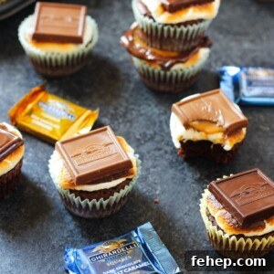 s'mores