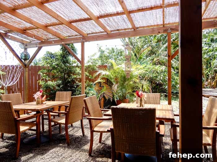 Vegan Food and Coffee at Island Fresh Cafe in Paia, Maui 
