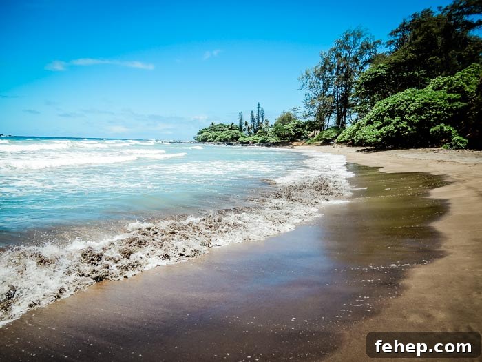 Best Vegan Food in Maui