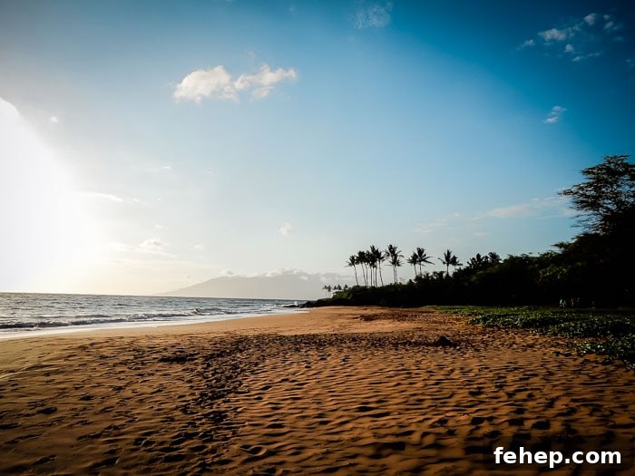Best Vegan Restaurants in Maui, Hawaii - Running on Real Food