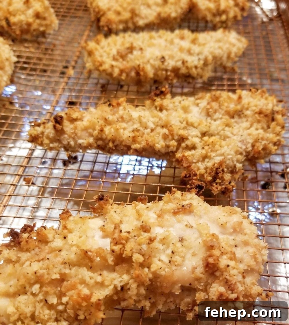 31 Delicious Chicken Tenderloin Recipes for Every Meal 12 Oven Baked Chicken Tenders