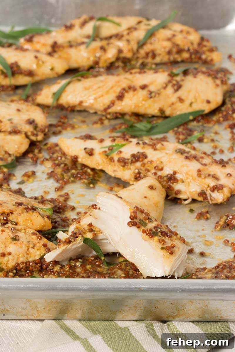 31 Delicious Chicken Tenderloin Recipes for Every Meal 19 Mustard Baked Chicken