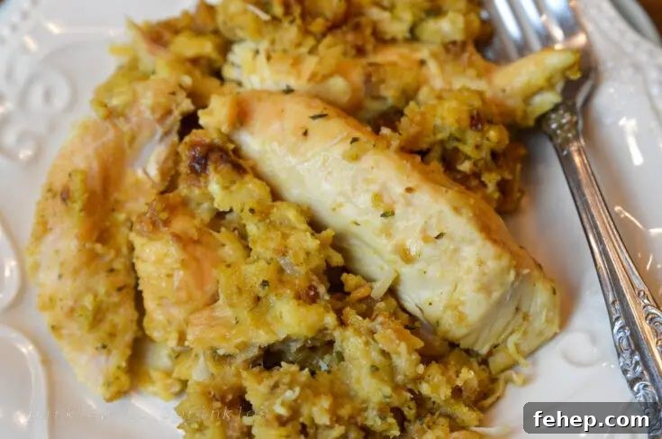 31 Delicious Chicken Tenderloin Recipes for Every Meal 28 Chicken and Stuffing