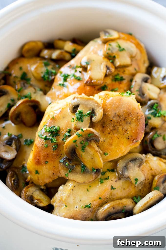 31 Delicious Chicken Tenderloin Recipes for Every Meal 31 Chicken Marsala