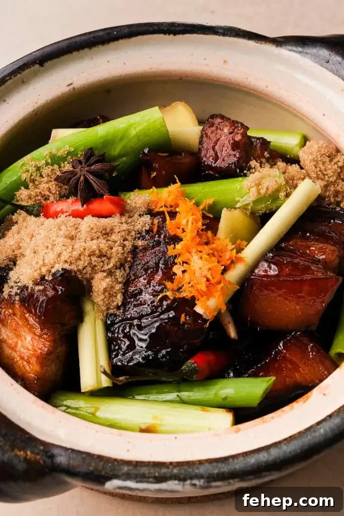 How to make braised pork belly aromatics and pork belly added to pot
