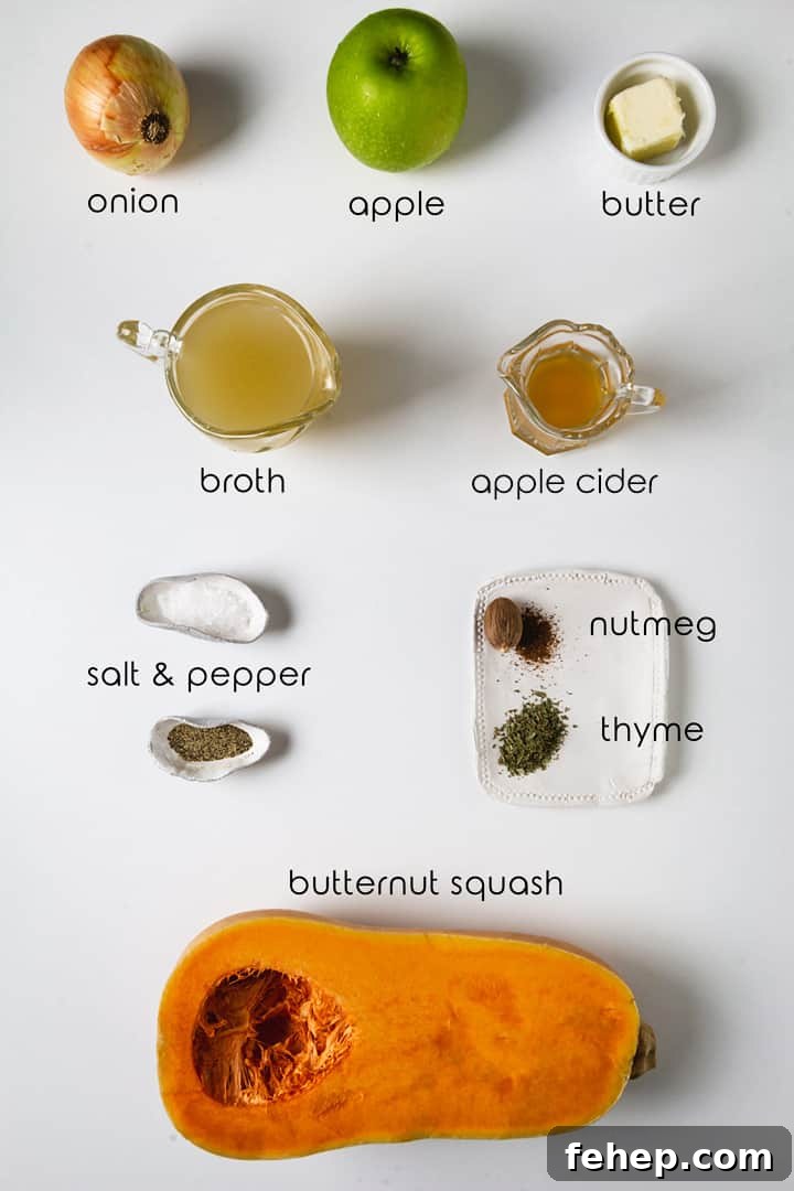 Butternut Squash and Apple Soup Recipe for Cozy Fall Nights 3 Ingredients for easy butternut squash and apple soup