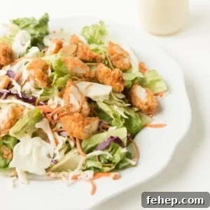 Homemade Applebee’s Oriental Chicken Salad Recipe 3 Applebee's copycat oriental chicken salad ohsweetbasil.com