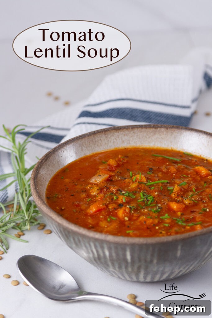 Hearty Tomato and Red Lentil Soup Recipe for Cozy Meals 2 A bowl of tomato lentil soup with a spoon, some fresh herbs, and a blue striped towel.