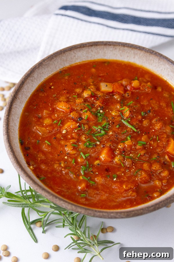 Hearty Tomato and Red Lentil Soup Recipe for Cozy Meals 3 a bowl of tomato soup with lots of veggies garnished with herbs next to a blue striped towel.