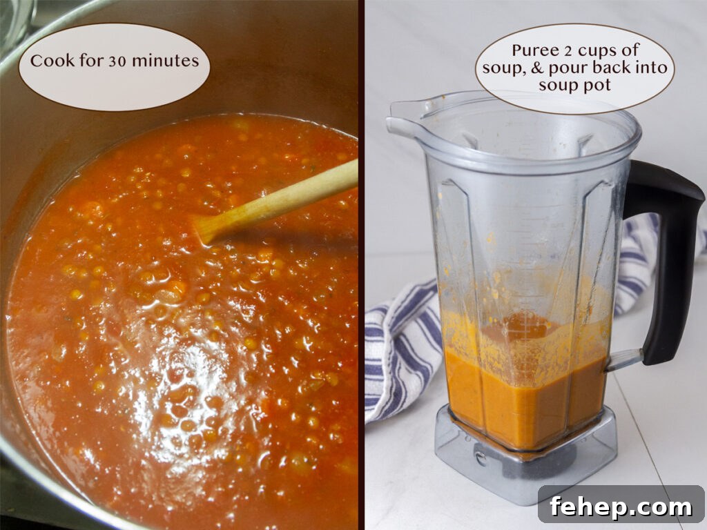 Hearty Tomato and Red Lentil Soup Recipe for Cozy Meals 6 how to make soup, cooked soup and in a blender.