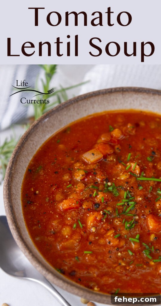 Hearty Tomato and Red Lentil Soup Recipe for Cozy Meals 8 looking down into a bowl of tomato lentil soup garnished with chopped chives, title on top.