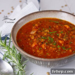 Hearty Tomato and Red Lentil Soup Recipe for Cozy Meals 9 square crop of a bowl of soup with fresh herbs and a towel next to it.
