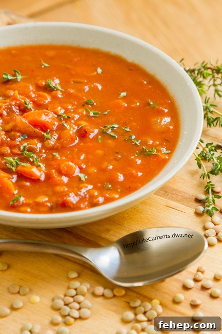 Hearty Tomato and Red Lentil Soup Recipe for Cozy Meals 10 a bowl of soup garnished with fresh herbs