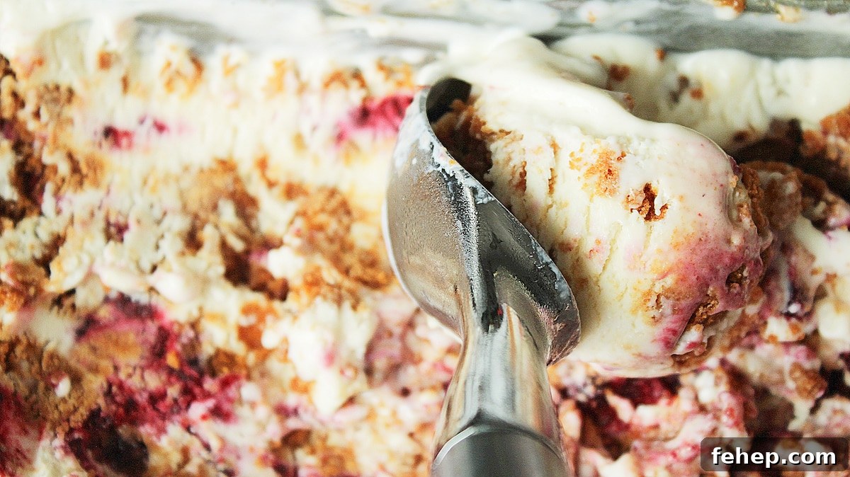 scooping blackberry cheesecake ice cream