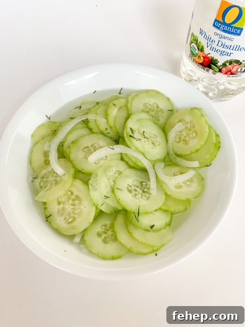 Cucumber and Dill Salad Recipe: Crisp Summer Side Dish 6 img 17736 5