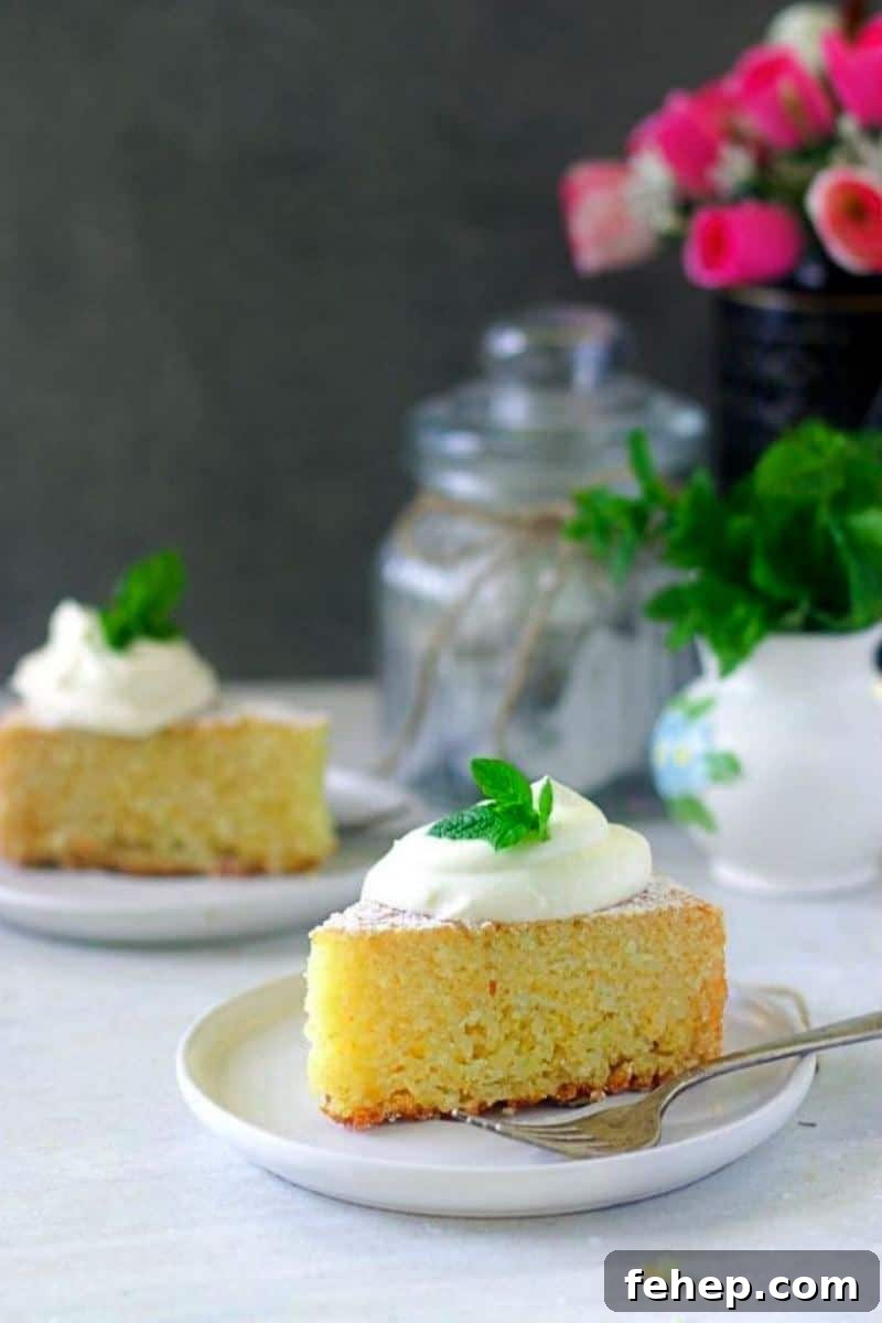 Eggless Rava Cake Recipe for Beginners: Soft Semolina Cake Tutorial 6 slice of rava cake placed on a white plate topped with softly whipped cream and mint leaves for garnish