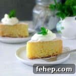 Eggless Rava Cake Recipe for Beginners: Soft Semolina Cake Tutorial 7 cropped up image of cake slice for recipe card