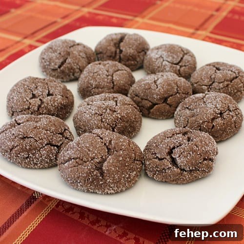 Café Mocha Cookie Recipe: Rich Coffee-Chocolate Cookies 2 IMG_0331