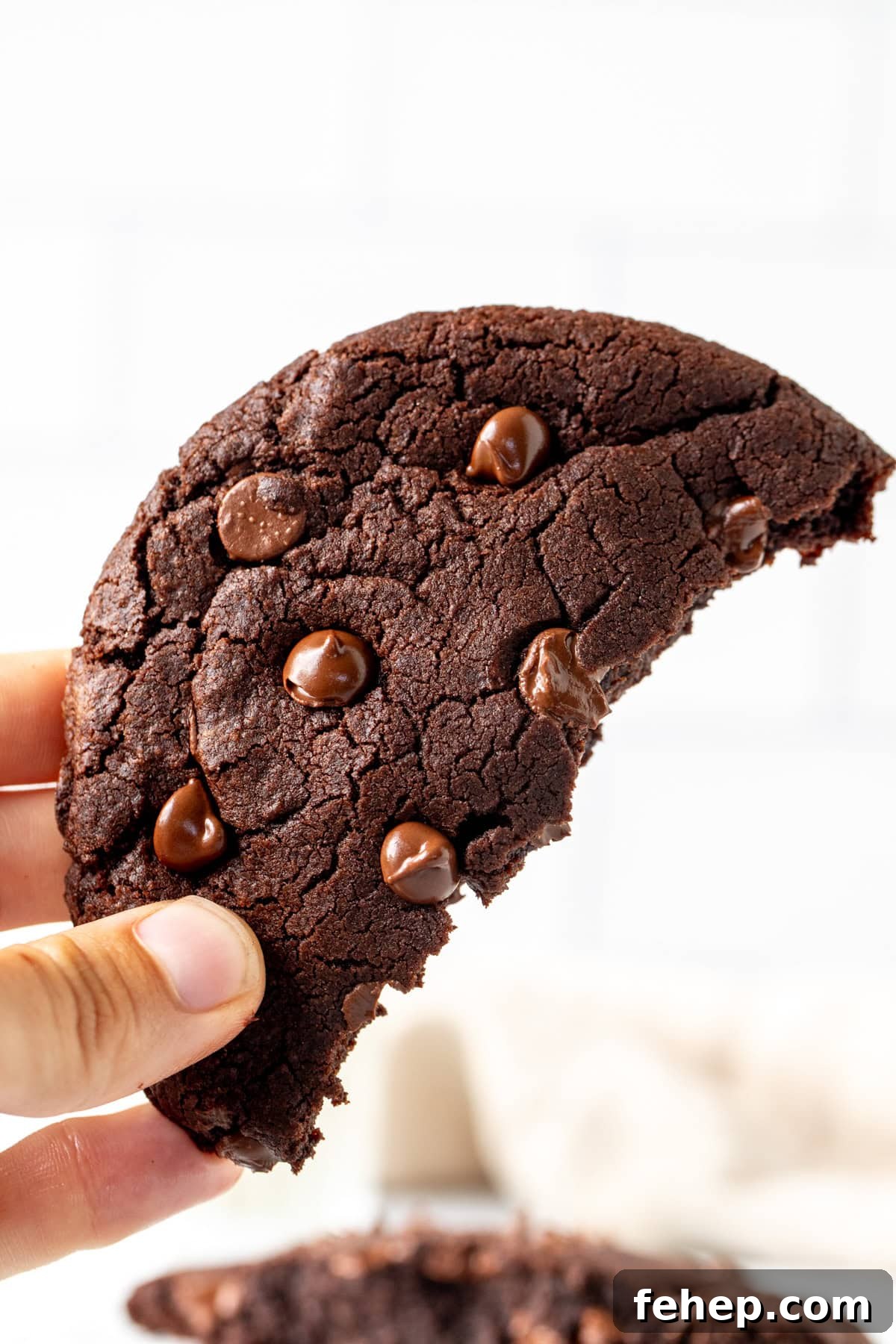 Single-Serve Chocolate Cookie Recipe: Moist Microwave Mug Cookie 7 Piece of giant double chocolate cookie