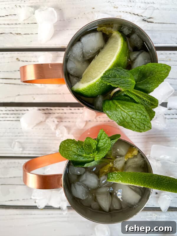 How to Make a Classic Moscow Mule: Ginger, Lime & Vodka Recipe 6 Moscow Mule served