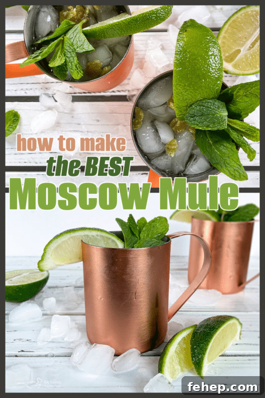 How to Make a Classic Moscow Mule: Ginger, Lime & Vodka Recipe 7 Moscow Mule graphic