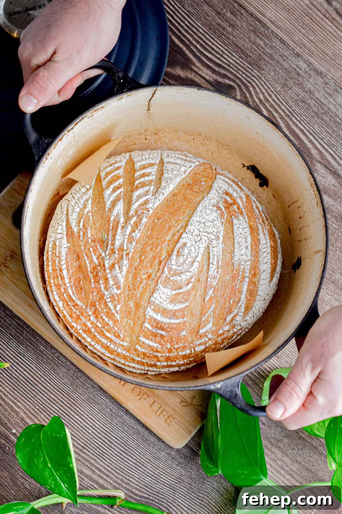 Two hands are holding the Dutch oven.