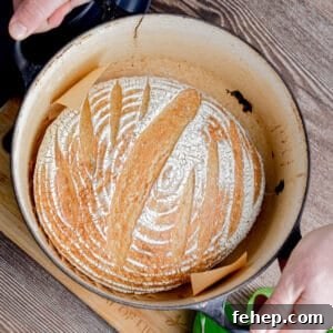Two hands are holding a blue Dutch oven with a loaf of sourdough bread in it.