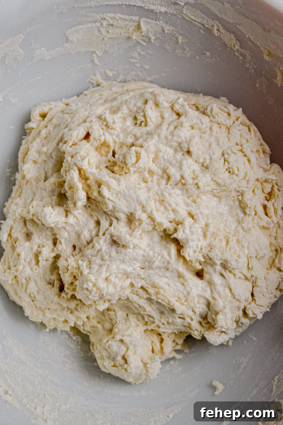 A shaggy dough is formed.
