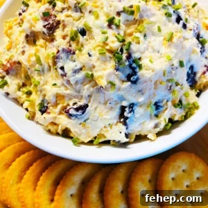 Smoked Cranberry Bacon Dip
