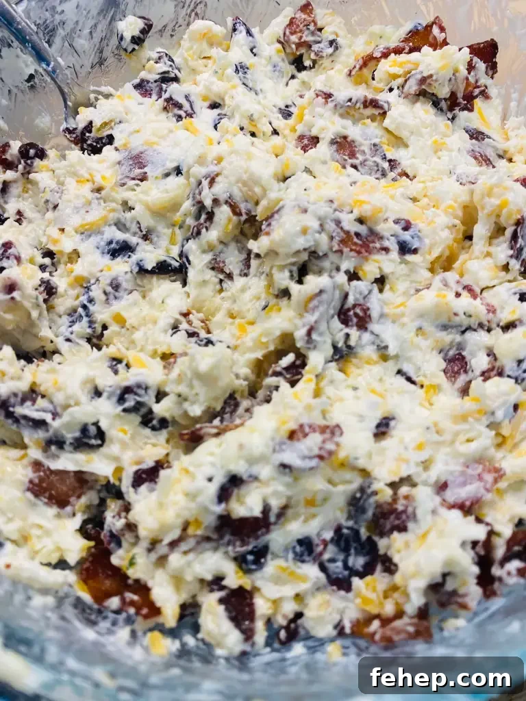 Smoked Cranberry Bacon Dip