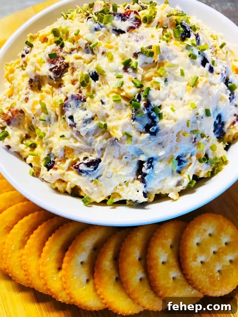 Smoked Cranberry Bacon Dip
