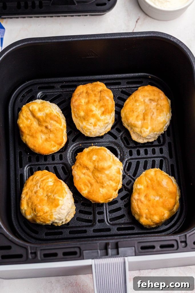 Crispy Air Fryer Frozen Biscuits in Minutes 5 Golden biscuits in the air fryer basket after being cooked.