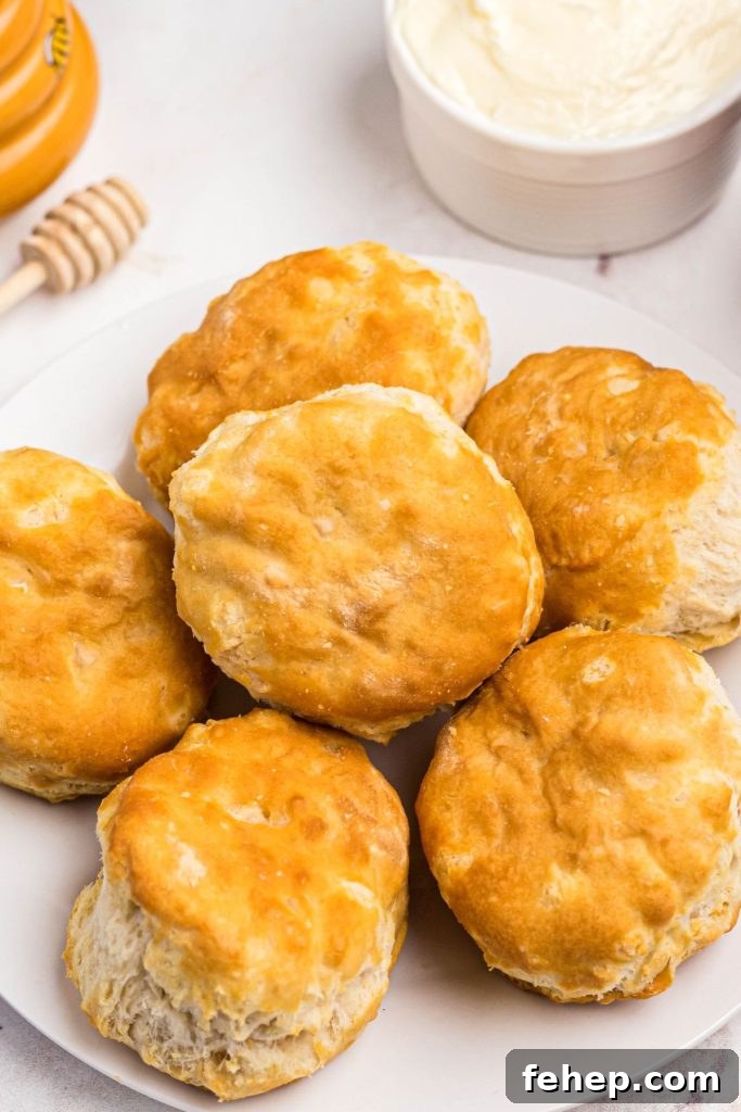 Crispy Air Fryer Frozen Biscuits in Minutes 7 Golden fluffy biscuits on a small white plate with butter on the table.