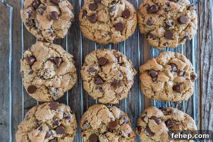 26 Addictive Gluten-Free Game Day Recipes Fans Devour 24 gluten-free chocolate chip cookies on a cooling rack