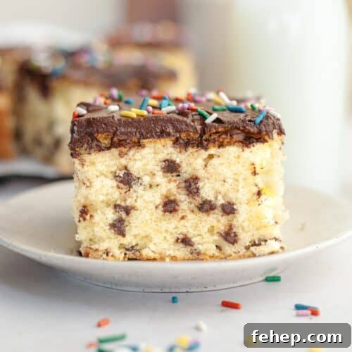 A slice of chocolate chip sheet cake with chocolate frosting on a small plate.