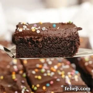 A cake server with a slice of chocolate sheet cake with chocolate frosting.