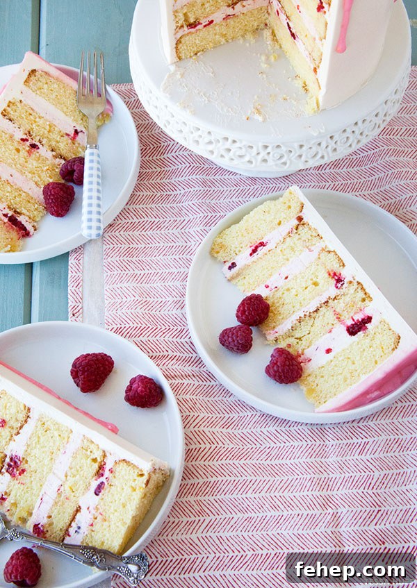 Raspberry and Blood Orange Layer Cake Recipe 5 fresh raspberries and a blood orange glaze | Raspberry & Blood Orange Cake| Recipe by Tessa Huff for TheCakeBlog.com