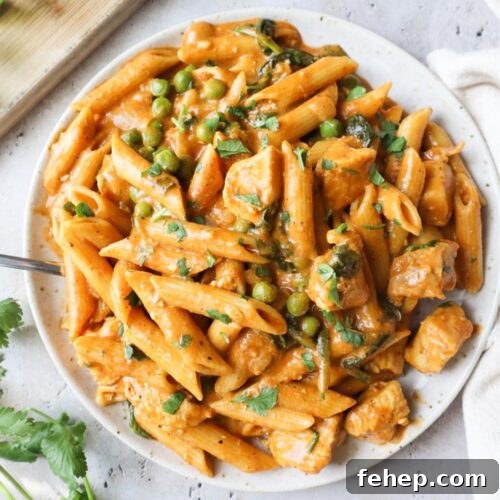 white plate with creamy chicken curry pasta topped with cilantro.