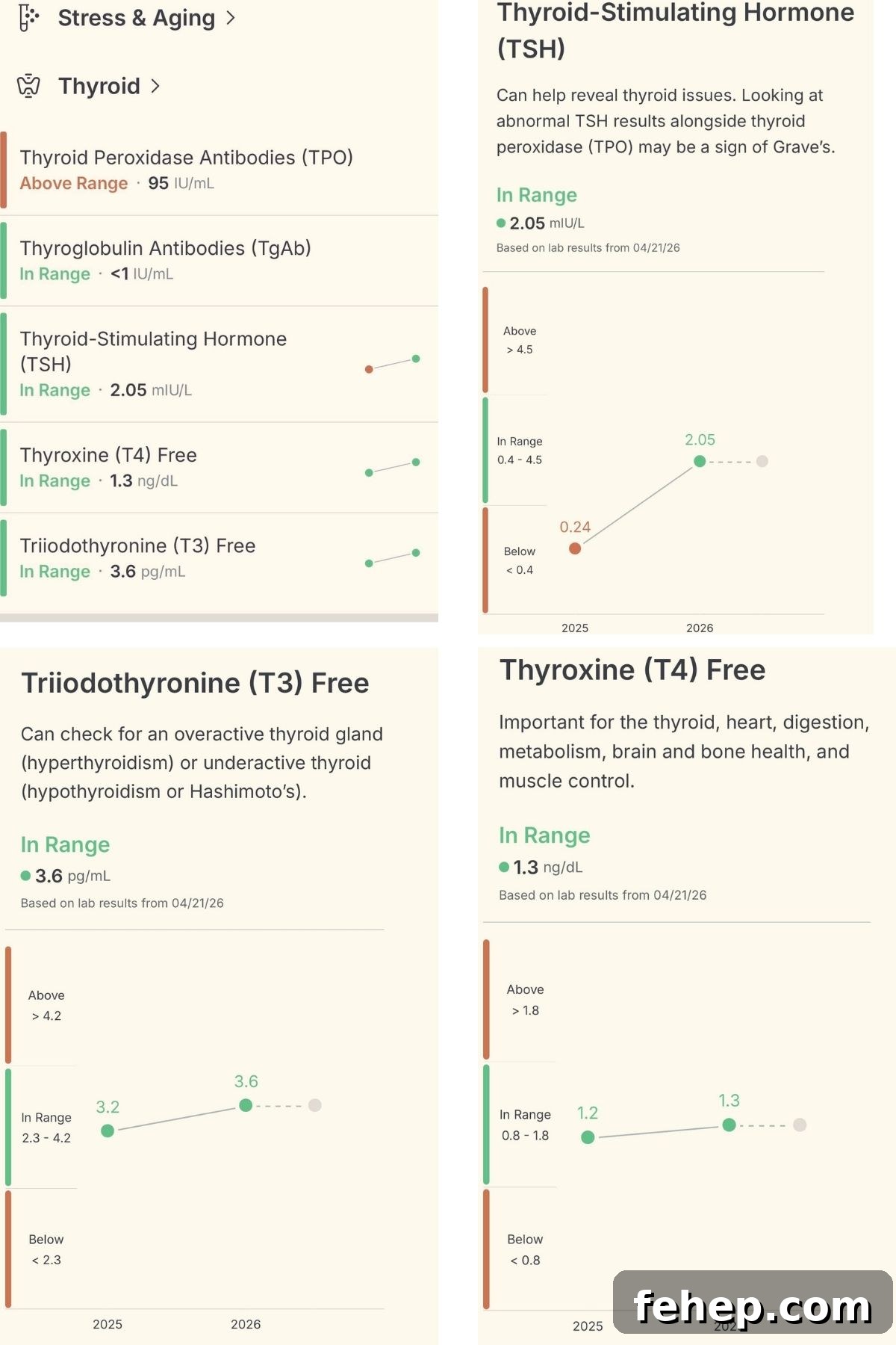Hormonal Imbalance or Cycle Rhythm? How to Read Your Body’s Signs 3 example of improved thyroid test result after lifestyle change