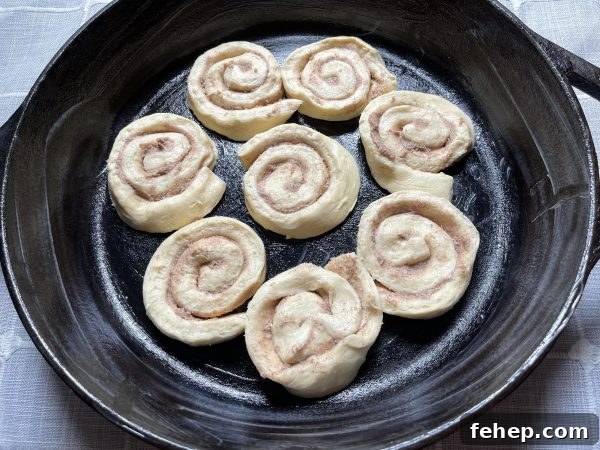 Cinnamon Roll Dessert Casserole cinnamon roll layer