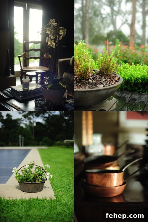 Redleaf: Charming South Coast Getaway Guide 5 img 225 4